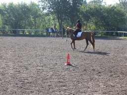 img_0215_web